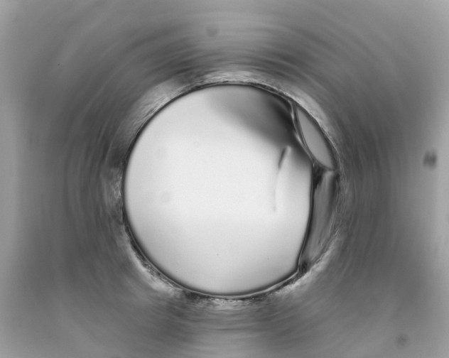 X0000091090849200709041301