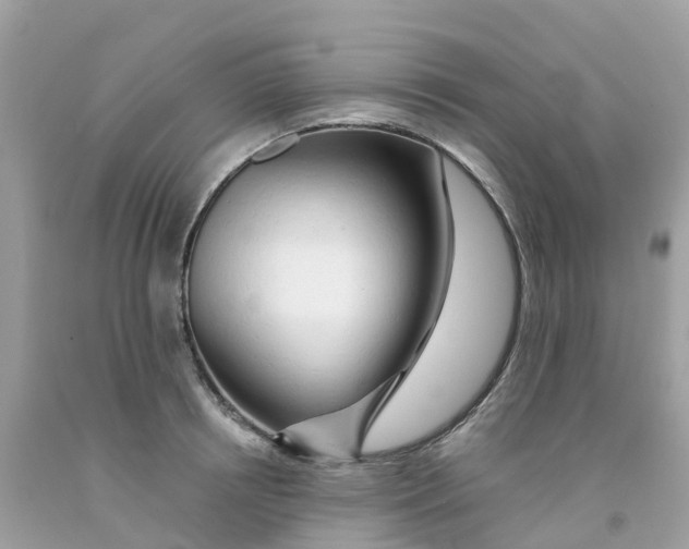 X0000091090850200709041301