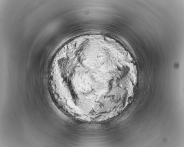 X0000091090851200709041301