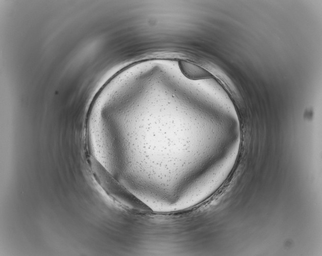 X0000091090852200709041301