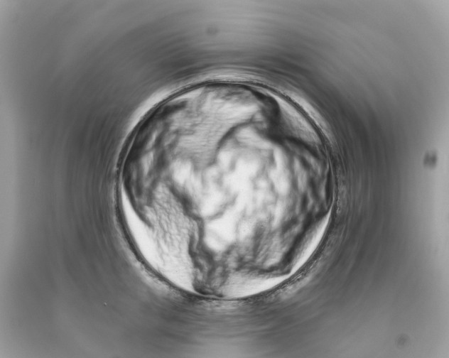 X0000091090853200709041301