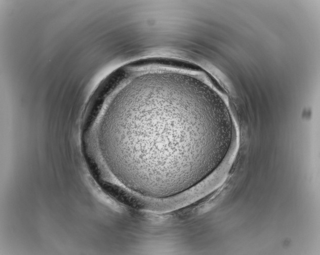 X0000091090854200709041301