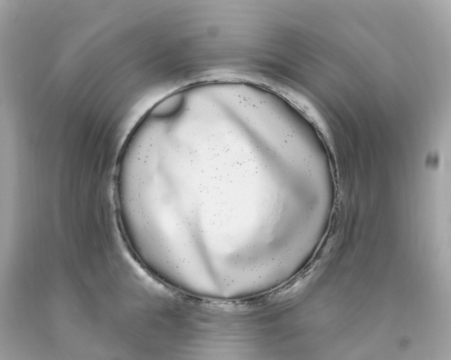 X0000091090855200709041301