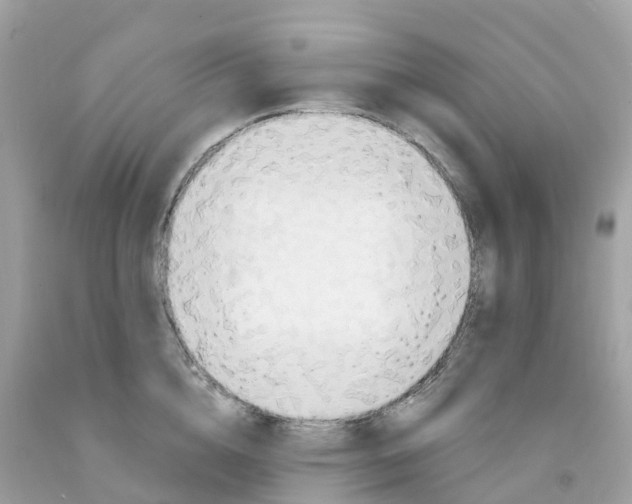 X0000091090856200709041301