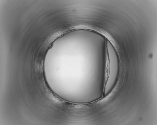 X0000091090857200709041301