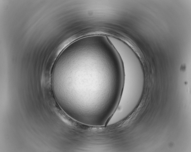 X0000091090858200709041301