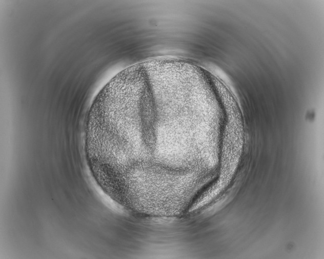 X0000091090859200709041301