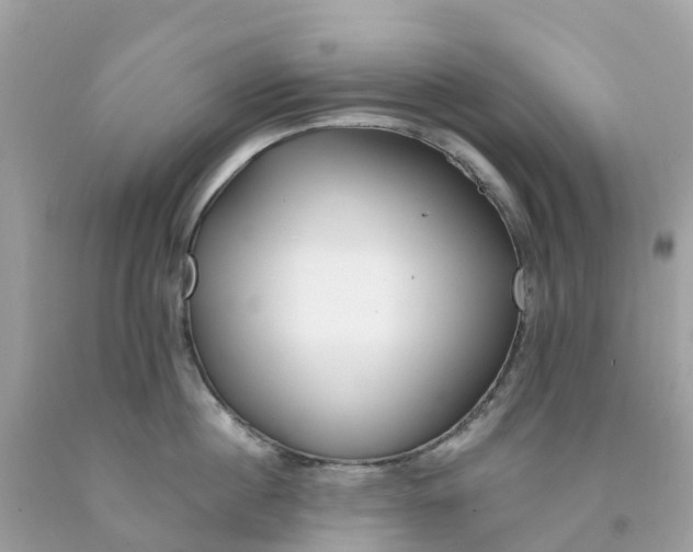 X0000091090860200709041301