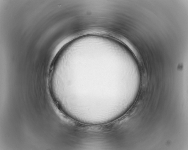 X0000091090861200709041301