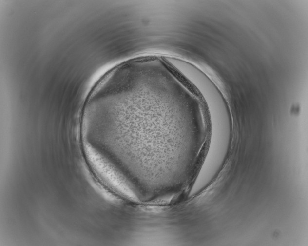 X0000091090862200709041301