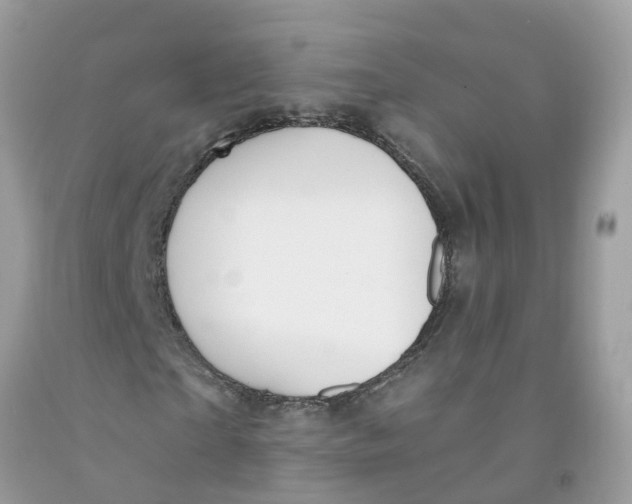 X0000091090865200709041300