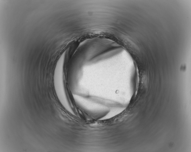 X0000091090868200709041300