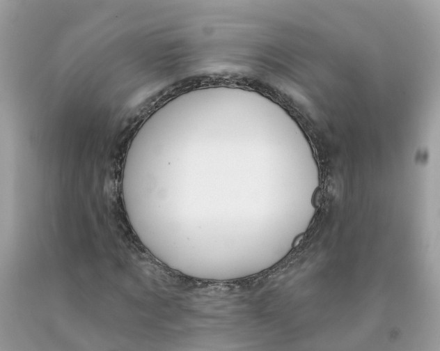 X0000091090869200709041300