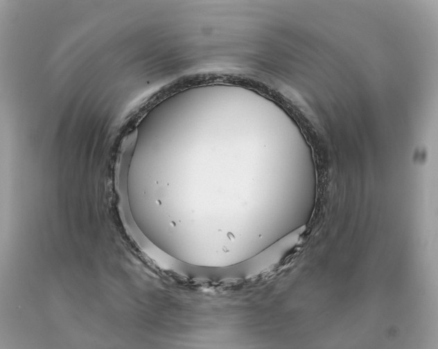 X0000091090872200709041300