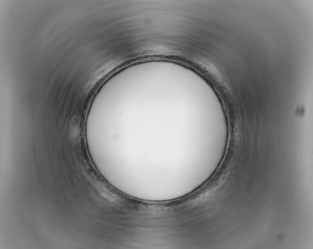 X0000091090873200709041300
