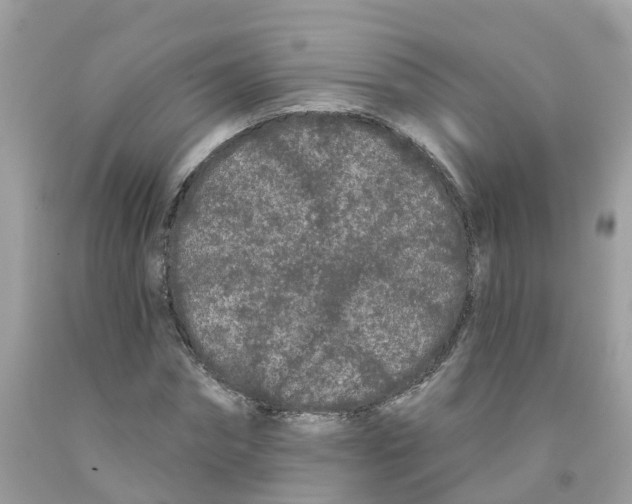 X0000091090874200709041300