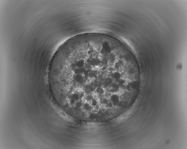 X0000091090875200709041300