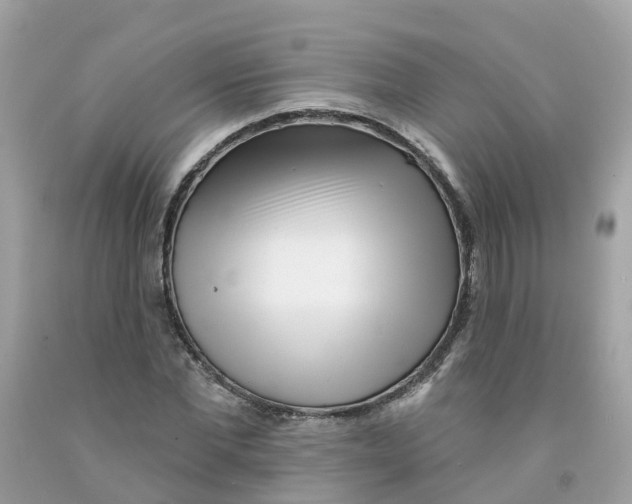 X0000091090877200709041300