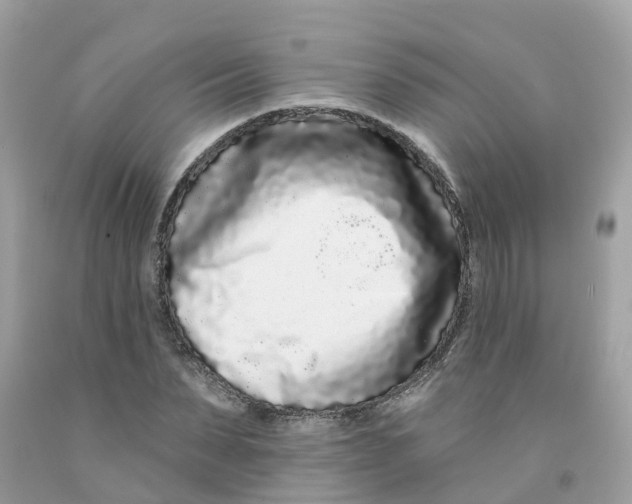 X0000091090879200709041300