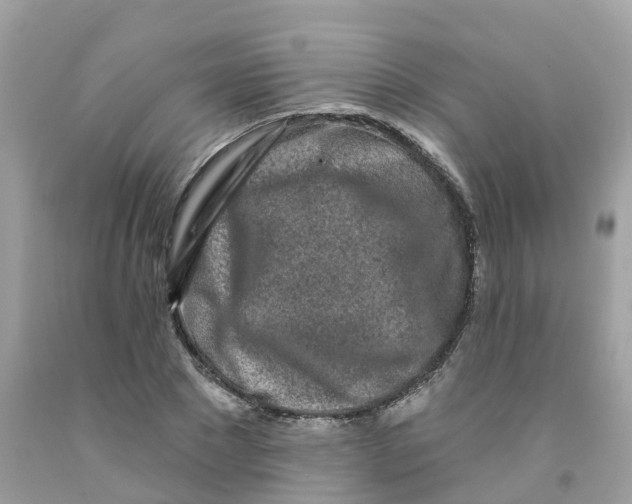X0000091090881200709041300