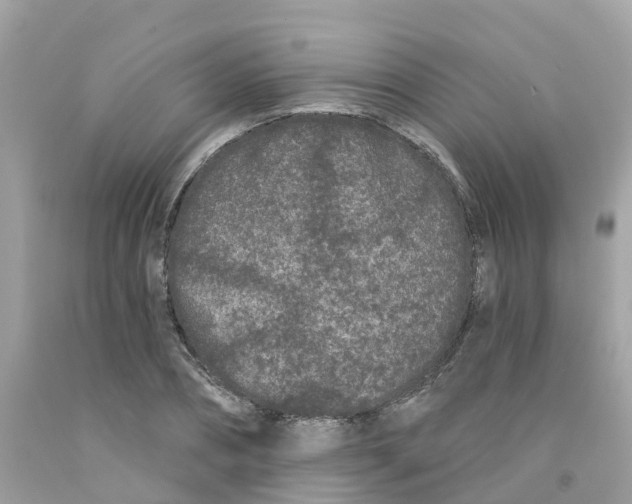 X0000091090882200709041300
