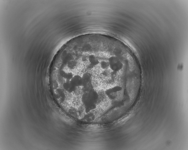 X0000091090883200709041300
