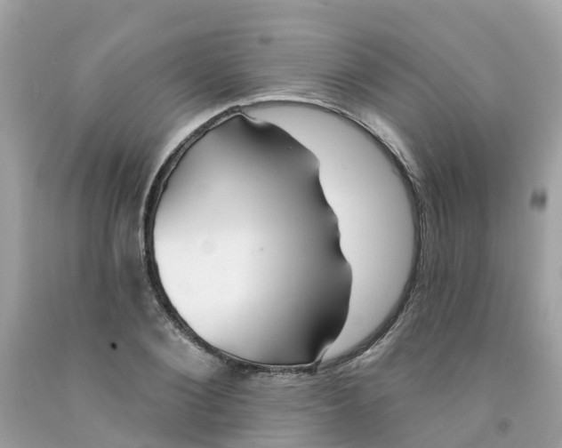 X0000091090884200709041300