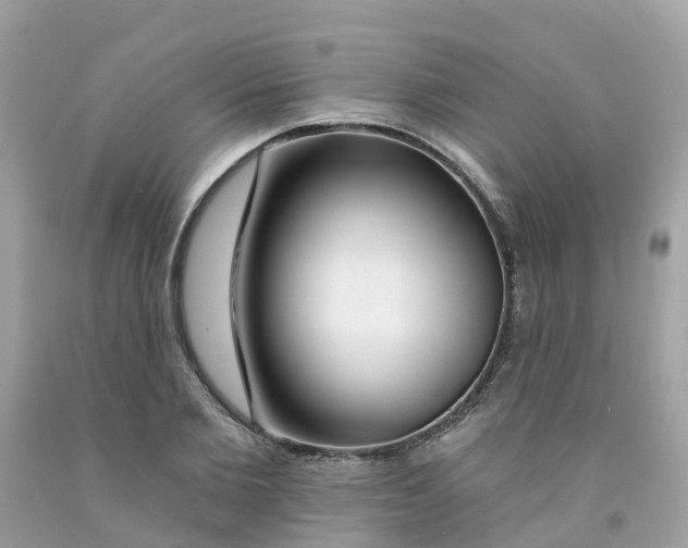X0000091090885200709041300