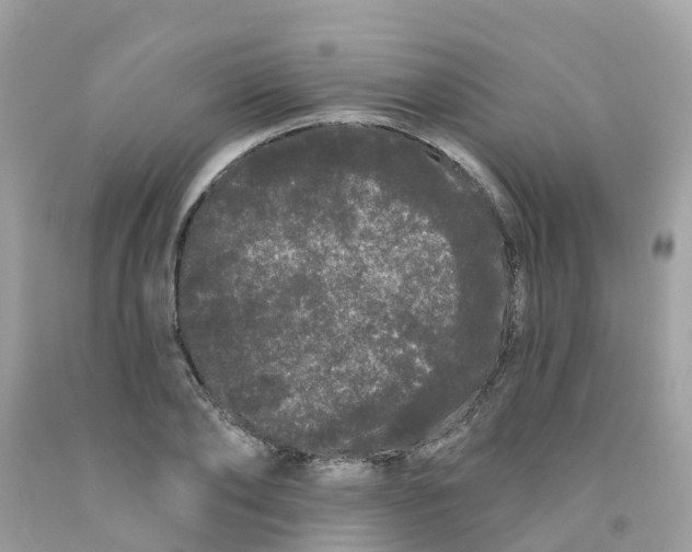 X0000091090886200709041300