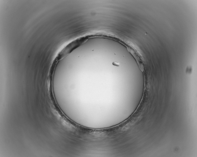 X0000091090888200709041300