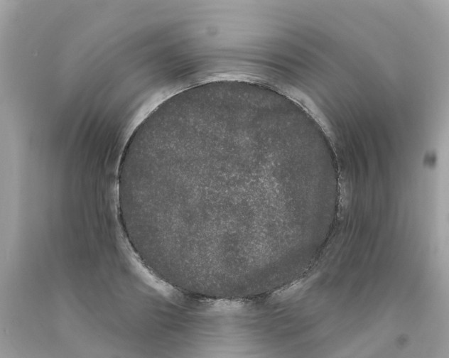 X0000091090890200709041300