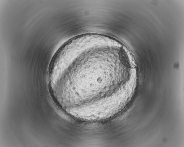 X0000091090891200709041300