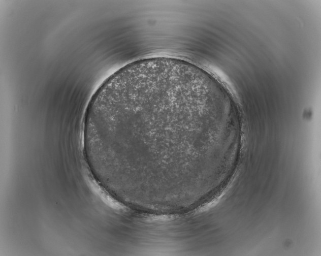 X0000091090892200709041300