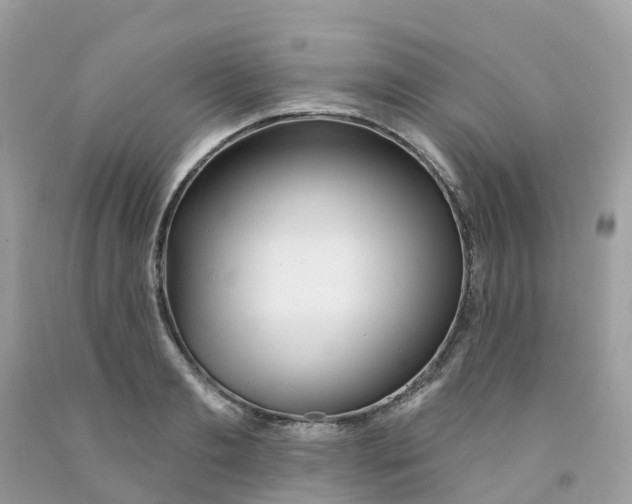 X0000091090893200709041300