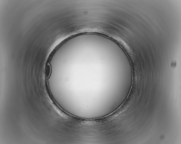 X0000091090894200709041300