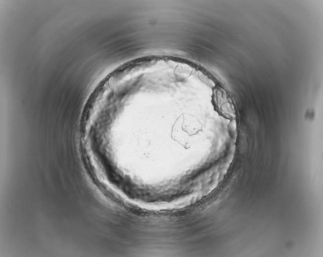 X0000091090895200709041300