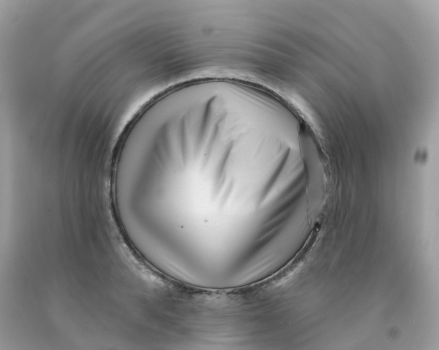 X0000091090896200709041300