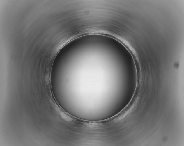 X0000091090897200709041300