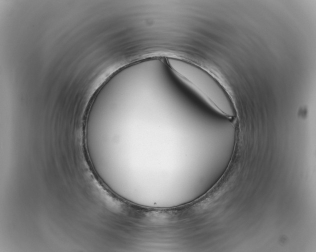 X0000091090898200709041300