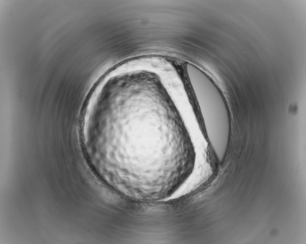 X0000091090899200709041300