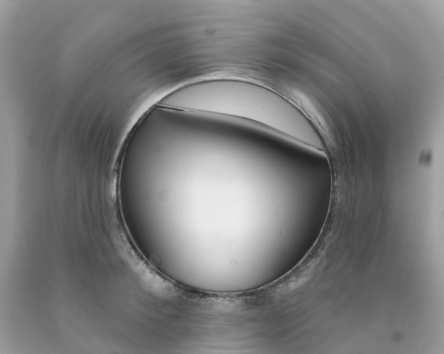 X0000091090900200709041300