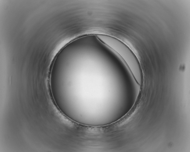 X0000091090901200709041300