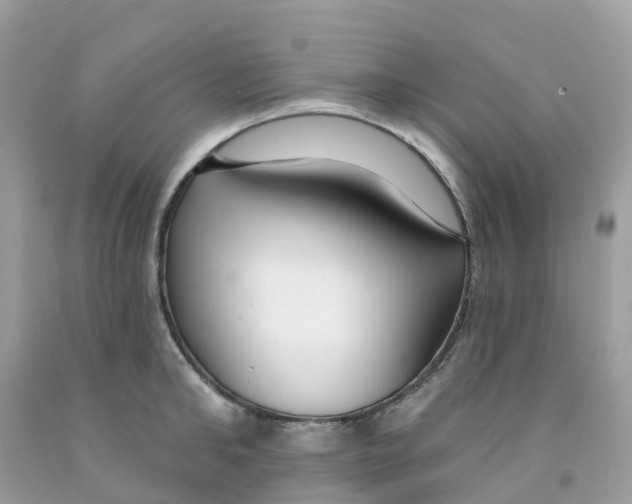 X0000091090902200709041300