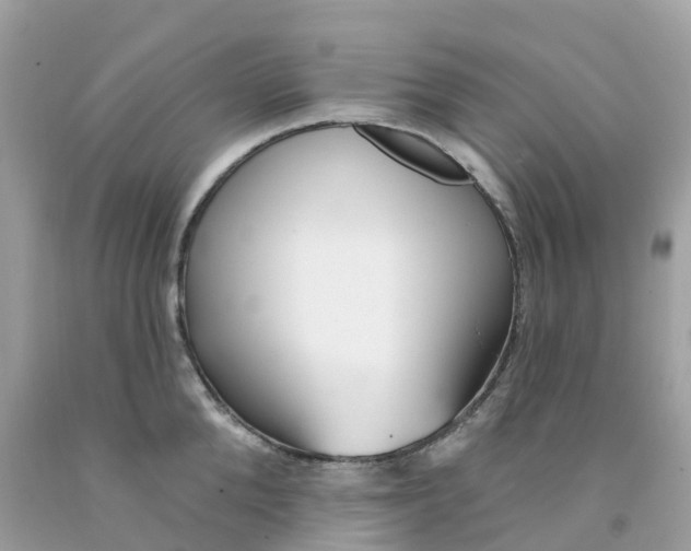 X0000091090904200709041300
