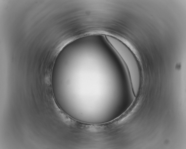 X0000091090905200709041300