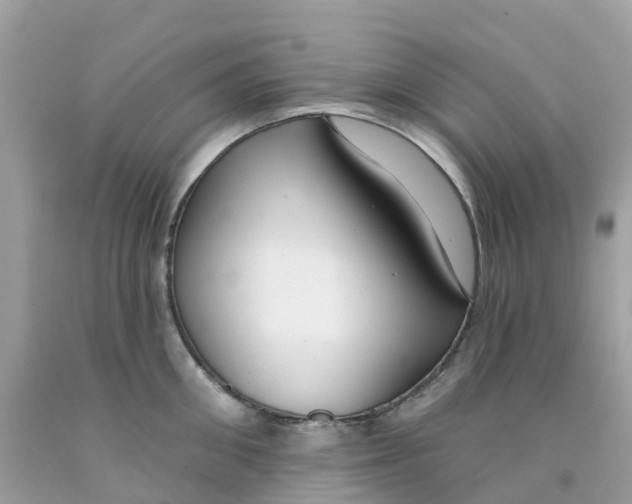 X0000091090906200709041300