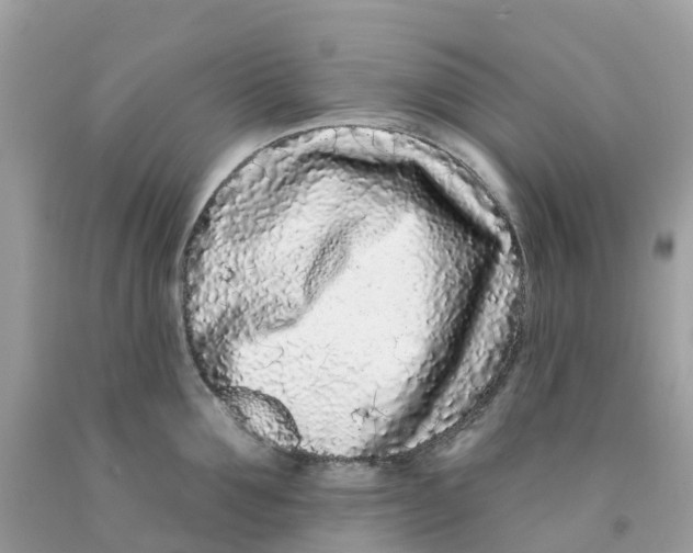 X0000091090907200709041300