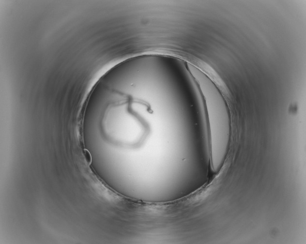 X0000091090908200709041300