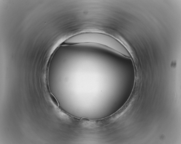 X0000091090909200709041300