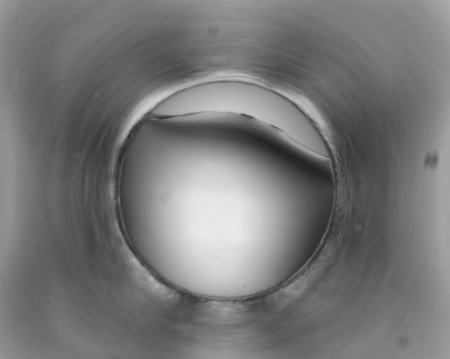 X0000091090910200709041300